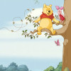 Winnie the Pooh Picnic