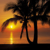 Palmy Beach Sunrise
