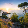Southern Light - Thumbnail View 1