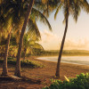 Golden Lands - Thumbnail View 1