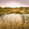 Morning View II - Thumbnail View 1