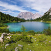 Paradise Lake - Thumbnail View 1