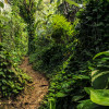Path of Dreams - Thumbnail View 1