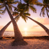 Reaching the Sun - Thumbnail View 1