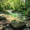 Tranquil Pool - Thumbnail View 1