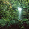 Secret Veil  - Thumbnail View 1