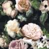 Victoria - Slider Item - View 1