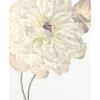 Illustration Dahlia - Thumbnail View 1