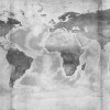Amazonia Black and White - Slider Item - View 1
