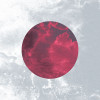 Baboon - Slider Item - View 1