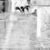 Bottles Lifting - Slider Item - View 1