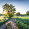Meadow Trail - Thumbnail View 1