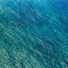 Pink Umbrella - Slider Item - View 1