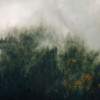Tales of the Carpathians - Thumbnail View 1