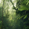Tropenwelten - Thumbnail View 1