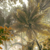 Fjordland Woods  - Slider Item - View 1