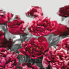 Temptation - Thumbnail View 1