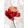 Amora - Thumbnail View 1