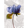 Casta - Thumbnail View 1