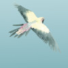 Ciel - Thumbnail View 1