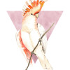 Cute Cacadoo - Thumbnail View 1