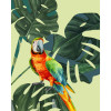 Green-Winged Macaw - Thumbnail View 1