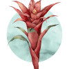 Funky Flower - Thumbnail View 1