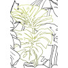 Monstera Borsigiana - Thumbnail View 1