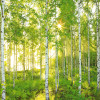 Sunday - Thumbnail View 1