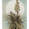 Plans de Lagon - Thumbnail View 1
