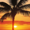 California Dreaming - Slider Item - View 1