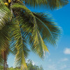Morning Breeze - Slider Item - View 1
