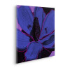 Purple Fusion - Thumbnail View 1