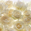 Shalimar - Thumbnail View 1