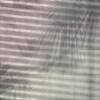 Shadows - Thumbnail View 1