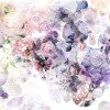 Wish - Thumbnail View 1