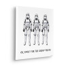 Star Wars Stormtrooper Group Photo - Thumbnail View 1