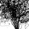Curls - Thumbnail View 1