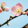 Spring - Slider Item - View 1