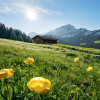 Bergwiese vor Karwendel - Slider Item - View 1