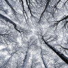Up - Thumbnail View 1