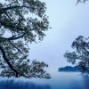 Blue Waters - Thumbnail View 1