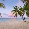Paradise Morning - Thumbnail View 1