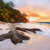 Nature - Thumbnail View 1