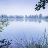 Morning View - Thumbnail View 1