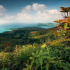 Heavens Balcony - Thumbnail View 1