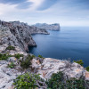 Bizarre Coast - Thumbnail View 1