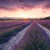 Provence - Slider Item - View 1