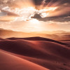 God Rays - Thumbnail View 1