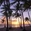 Palmtrees on Beach - Thumbnail View 1